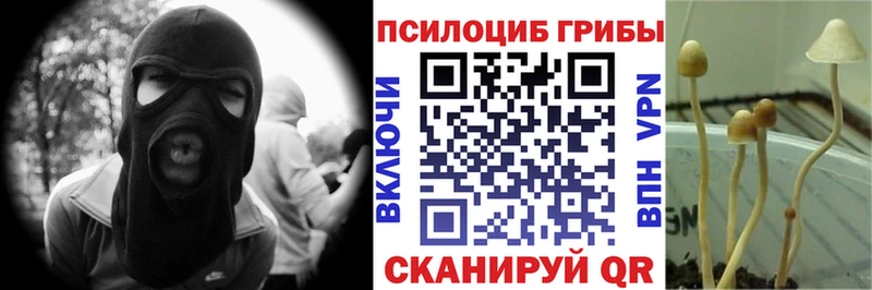 МЕГА сайт  Сосногорск  Псилоцибиновые грибы мицелий 