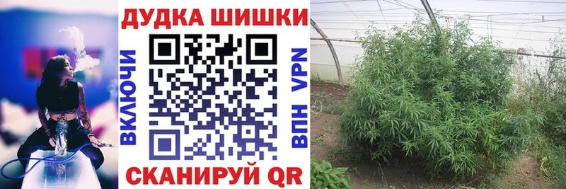 Канабис Bruce Banner Сосногорск